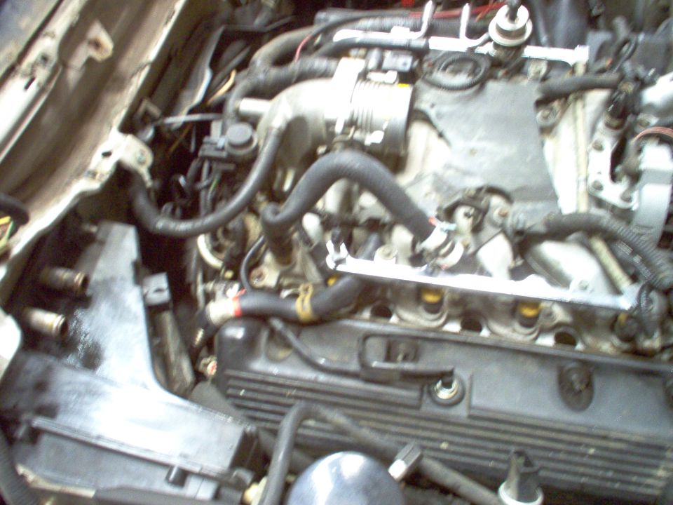 Engine bay close-up with intake manifold, black hoses and valve cover