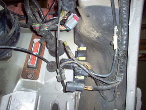 1994 Ford Crown Victoria - This image shows a section of a vehicle's electrical system, focusing on wiring and connectors.