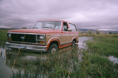 1983 Ford Bronco - A two-tone Ford Bronco is partially submerged in a watery field under a cloudy sky.