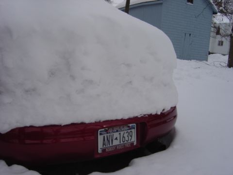 1998 Ford Taurus - A red car is heavily covered in snow, with only its rear bumper and license plate visible.