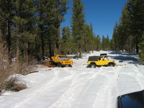 1985 Ford Bronco - Multiple off-road vehicles navigate a snowy path through a pine forest under a clear blue sky.