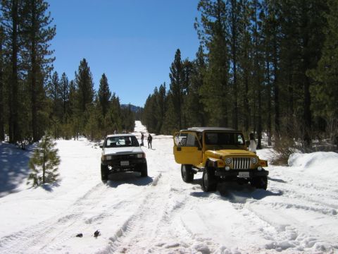 1985 Ford Bronco - Two off-road vehicles navigate a snow-covered path through a pine forest under a clear blue sky.