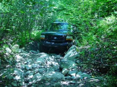 1996 Ford Bronco - A black 1995 Ford Bronco navigates a challenging rocky path surrounded by dense green foliage.