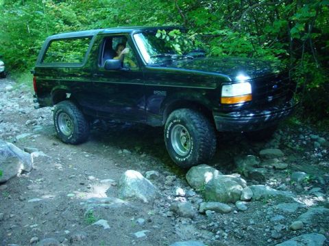 1996 Ford Bronco - A black Ford Bronco navigates a challenging, rocky path surrounded by dense green foliage.
