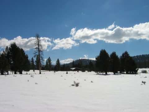 1985 Ford Bronco - A wide shot of a snow-covered landscape with evergreen trees and a small structure in the distance.