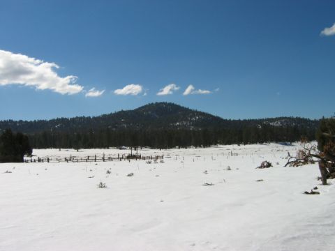 1985 Ford Bronco - A vast, snow-covered landscape stretches towards a tree line and a distant mountain under a bright blue sky.