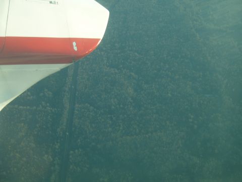 1988 Ford Bronco - An airplane wing, painted white with a red stripe, is visible in the foreground, casting a shadow over a vast, green forest below.