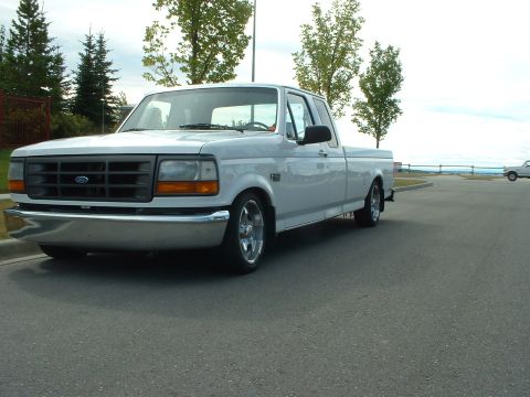 1995 Ford F-150 photo