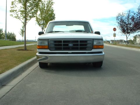 1995 Ford F-150 photo