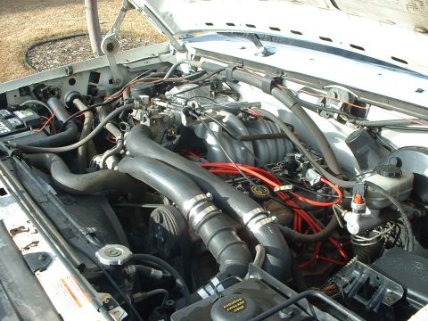 1995 Ford F-150 photo