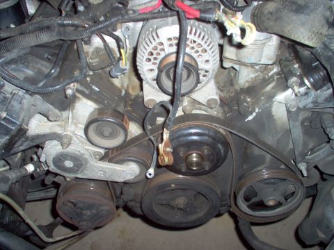 1994 Ford Crown Victoria - Close-up view of the engine's serpentine belt system, showing the alternator and various pulleys.
