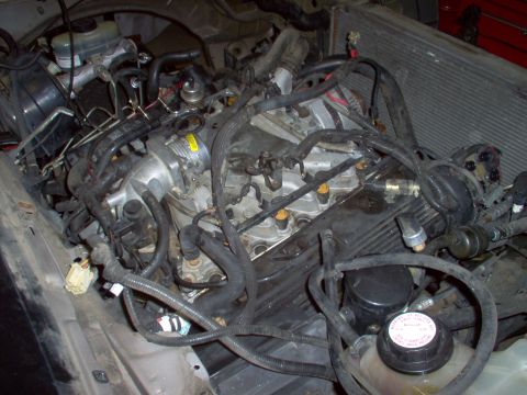 1994 Ford Crown Victoria - Close-up view of a vehicle's engine compartment, showing complex wiring and plumbing.