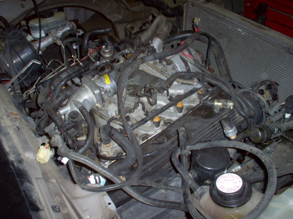 Engine bay of a Ford V8 with hoses, fluid reservoir, and radiator visible.