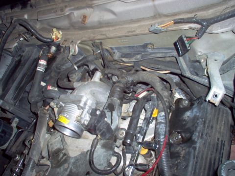 1994 Ford Crown Victoria - Close-up view of an engine bay, showing the throttle body and various electrical connectors and hoses.