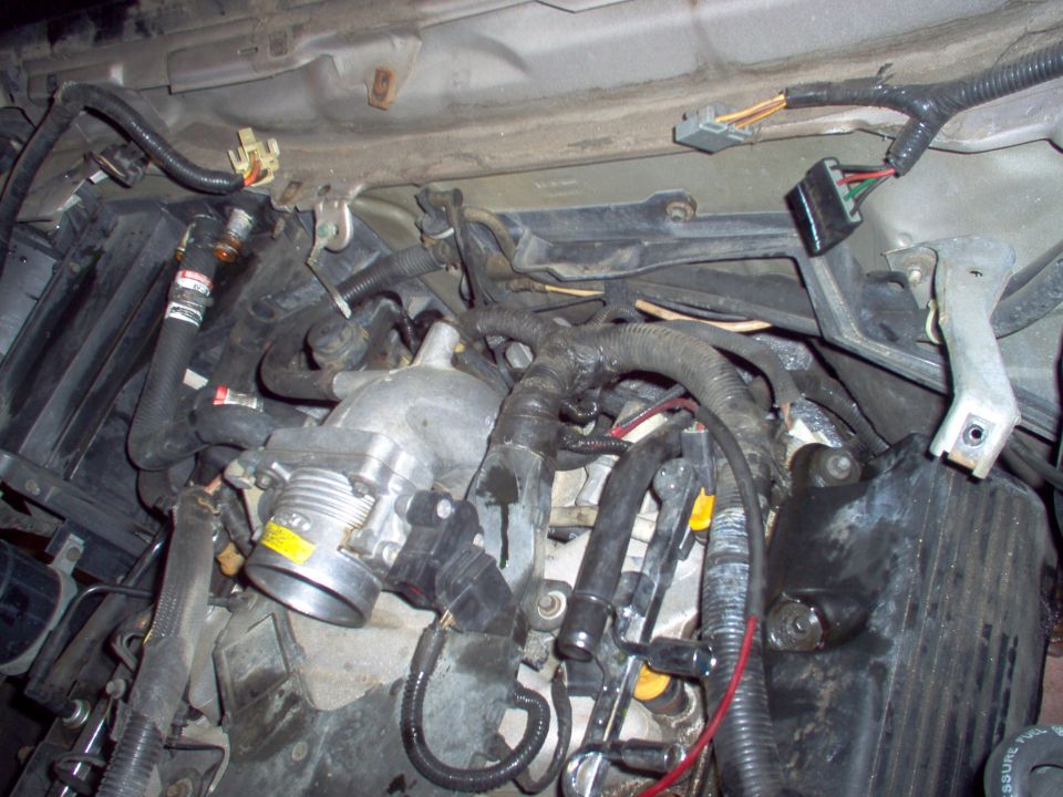 Engine bay showing A/C compressor, hoses, and wiring harness of a Ford Crown Victoria