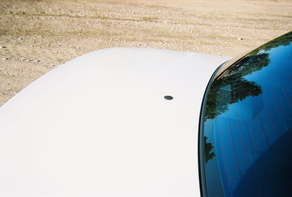 White car hood and rear window with reflection of trees