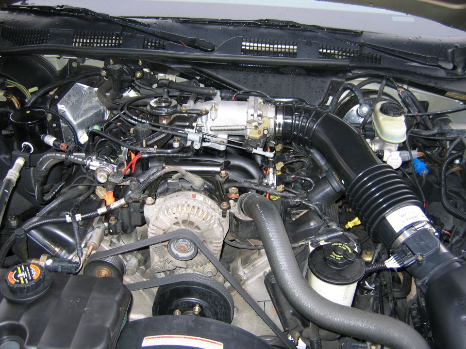 Engine bay with alternator, serpentine belt, black air intake tube and fluid reservoirs