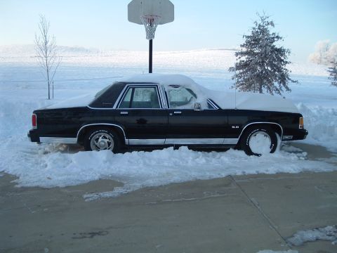 1989 Ford Crown Victoria LTD - A black 1989 Ford Crown Victoria LTD sits partially buried in snow next to a basketball hoop.