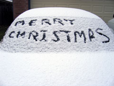 2000 Ford Crown Victoria - A white Christmas