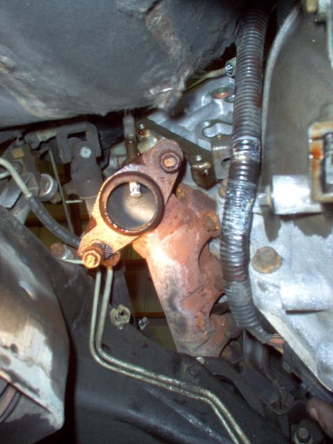 1994 Ford Crown Victoria - Engine bay view showing exhaust manifold, wiring harness, and fluid lines.