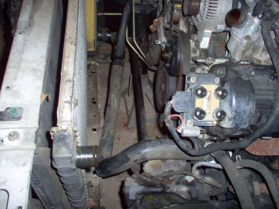 Engine bay showing serpentine pulley, alternator, radiator hose and radiator core support