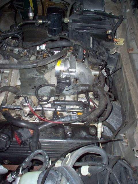 1994 Ford Crown Victoria - Close-up of an engine bay, focusing on the throttle body and fuel rail assembly.