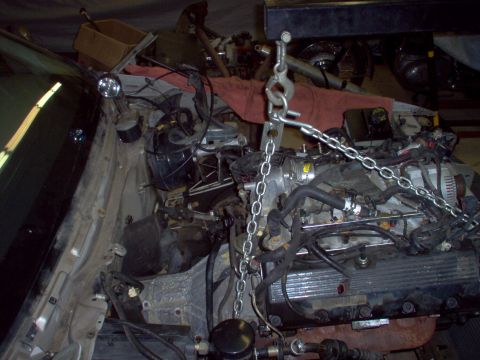 1994 Ford Crown Victoria - Engine removal in progress from a 1994 Ford Crown Victoria, revealing the V8 engine and surrounding chassis details.