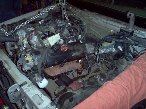 1994 Ford Crown Victoria - Engine removal in progress, showing the complex network of hoses and wires within the engine bay.