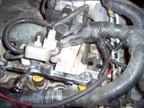 1994 Ford Crown Victoria - Engine fuel rail with injectors and wiring harness visible.