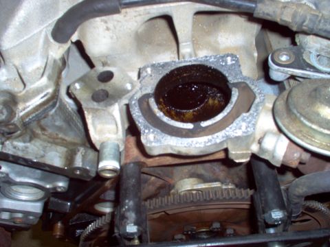 1994 Ford Crown Victoria - The intake manifold gasket shows significant buildup of dark, oily residue.