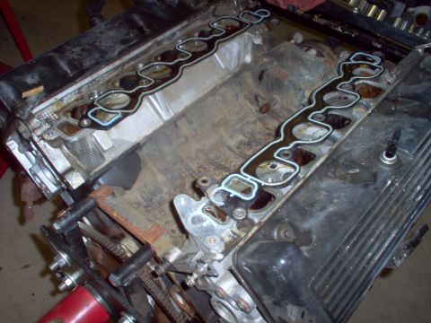 1994 Ford Crown Victoria - Engine with intake manifold gaskets removed, showing the cylinder heads and intake ports.