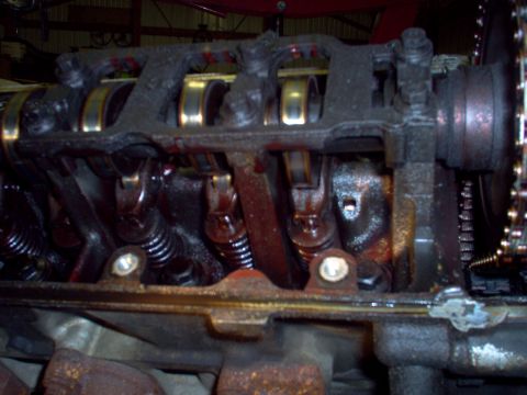 1994 Ford Crown Victoria - The internal components of an engine's valve train are shown in this close-up view.