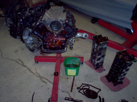 1994 Ford Crown Victoria - Disassembled engine components, including the block and cylinder heads, are staged on engine stands, with a bucket collecting drained fluid.