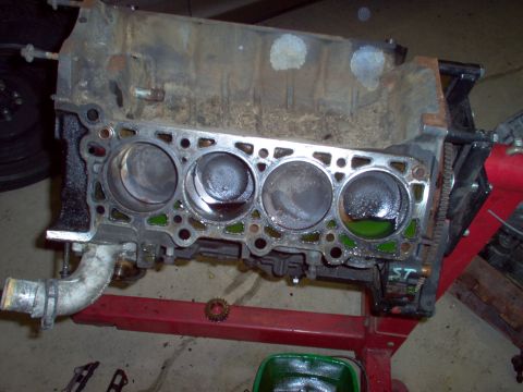 1994 Ford Crown Victoria - Engine block on a stand, showing internal cylinder damage and coolant.
