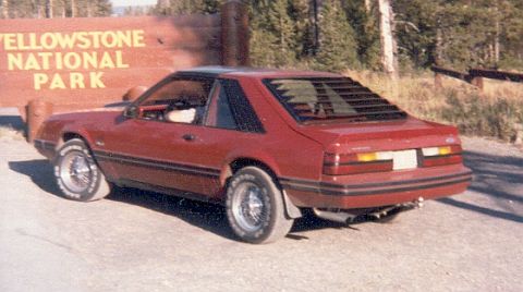 1989 Ford Mustang photo