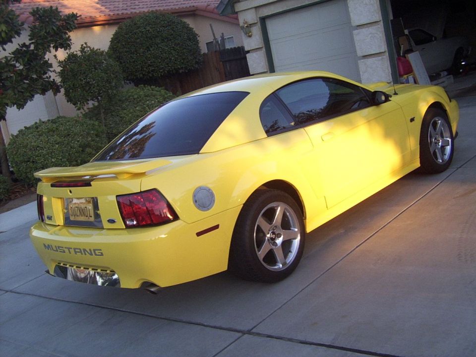 Yellow Mustang parked in driveway, rear view. License plate reads SUZNNOL