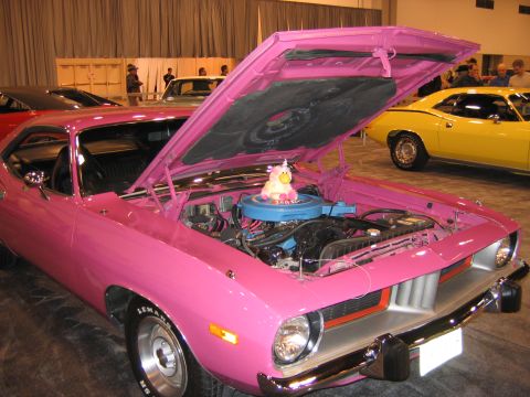 2000 Ford Crown Victoria - Pink Panther
