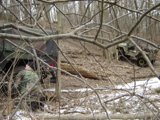 Military truck and off-road vehicle in wooded area with fallen branches