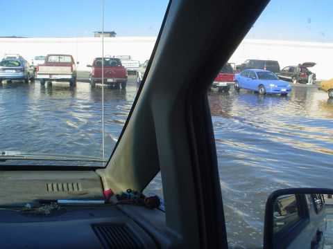 1993 Ford Taurus - Several vehicles are submerged in water in a parking lot, with a white wall and buildings in the background.