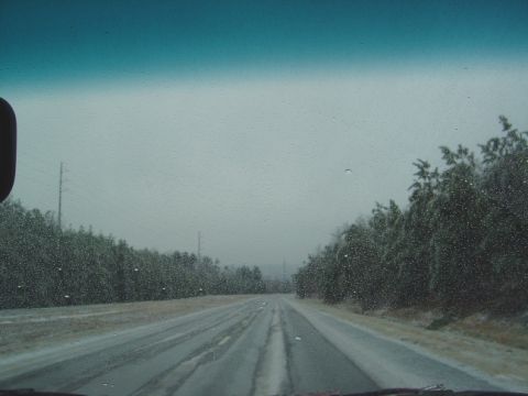 1986 Ford Bronco - The road ahead is slick with ice and water, with trees lining the sides under a cloudy sky.