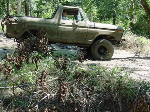 1978 Ford Bronco - This olive green pickup truck navigates a wooded off-road trail from a three-quarter front perspective.