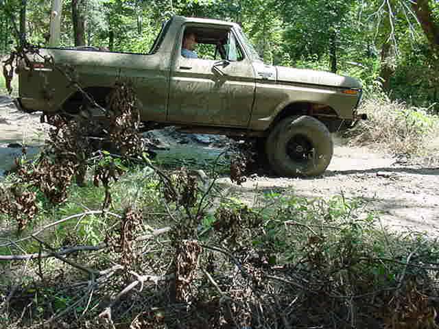 Olive green topless Ford Bronco driving a dirt trail through summer woods