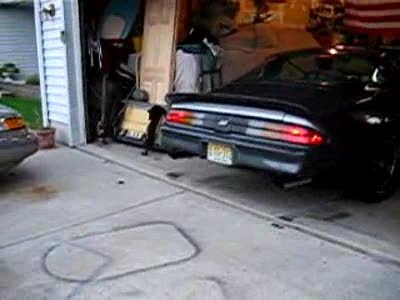 1981 Chevrolet Camaro