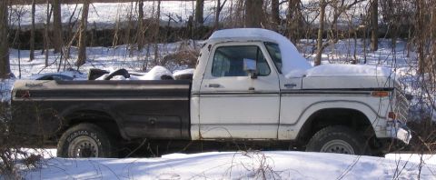 1979 Ford F-250 photo