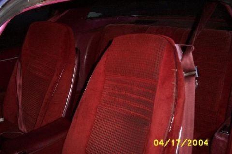 1979 Pontiac Firebird - Interior view of red patterned car seats and seatbelts.