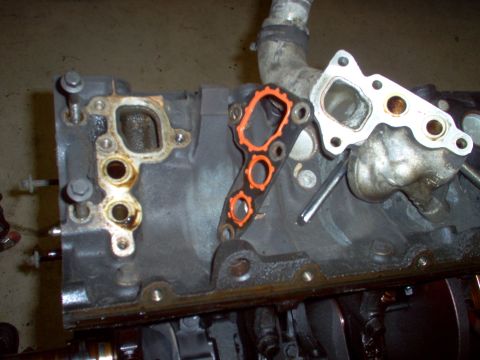 1994 Ford Crown Victoria - Close-up view of an engine block with the water pump gasket removed, revealing the mounting surface and bolt holes.