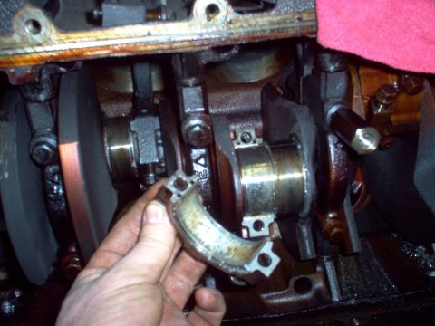 1994 Ford Crown Victoria - The 3 bearing was the frontmost not to spin. This is before I wiped off the oil film.
