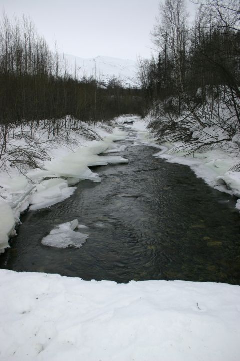 2003 Jeep TJ - A winter scene shows a river partially frozen with ice floes, surrounded by snow-covered banks and bare trees under a cloudy sky.