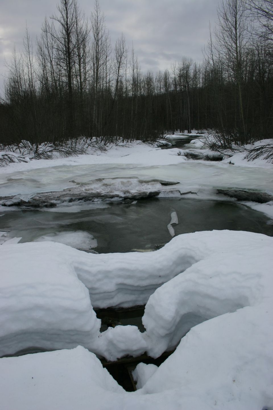 Frozen stream with snow-covered banks and bare trees in the background under an overcast sky
