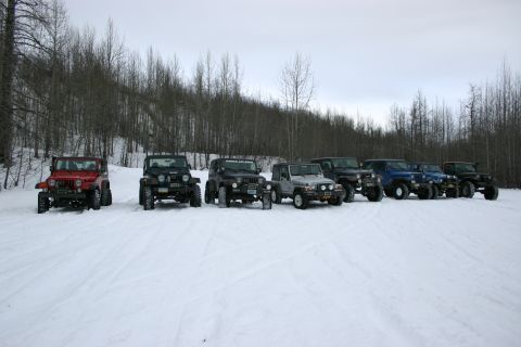 2003 Jeep TJ - A line of Jeep TJs are parked in a snowy area, with a forest visible behind them.